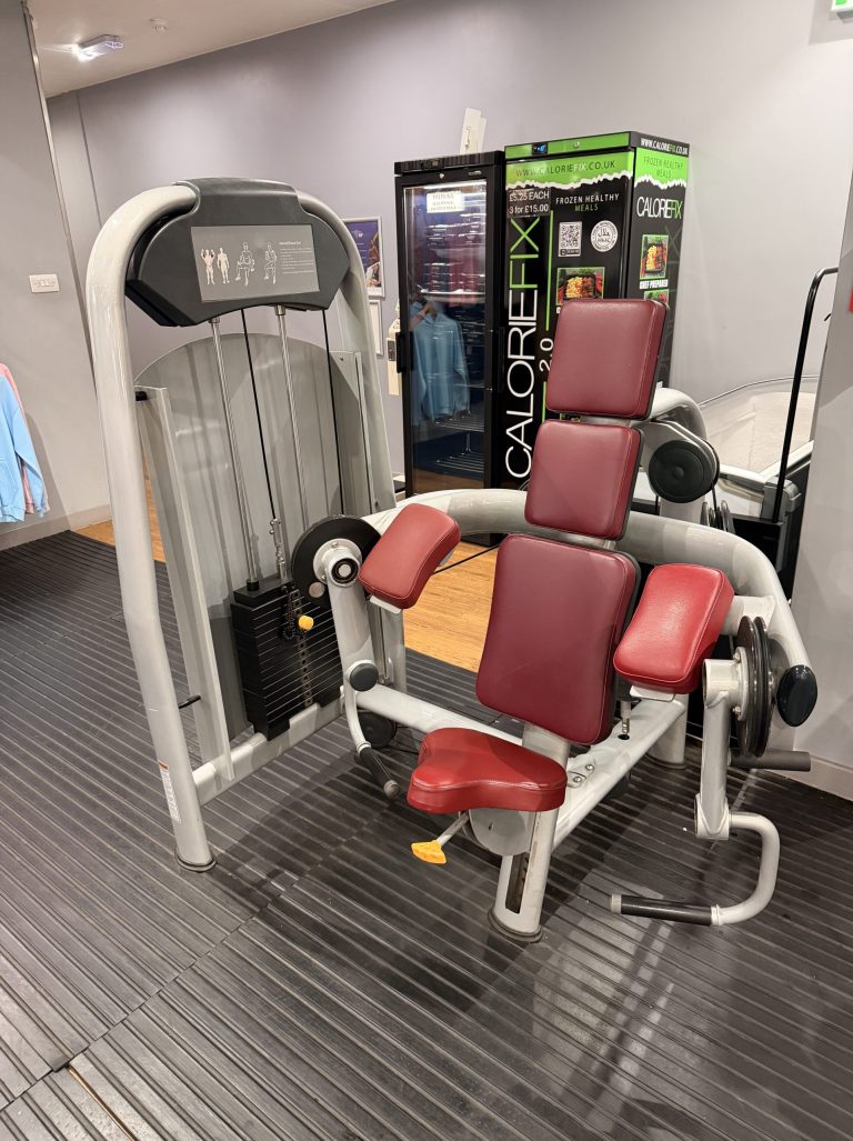 Seated bicep curl