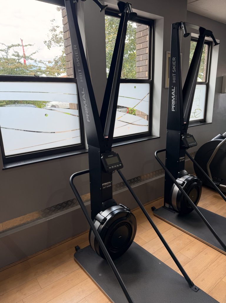 Ski erg